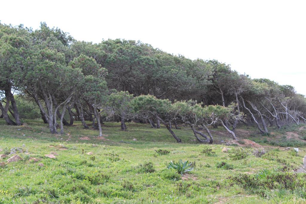 Villa Boa Vista Sul - Terra Da Eira - Raposeira Vila do Bispo Exterior foto
